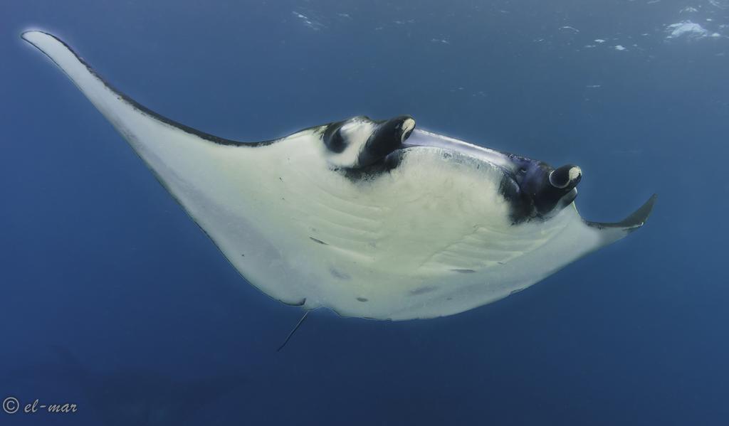 Kubu Indah Dive & Spa Resort Tulamben Eksteriør bilde